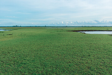 Landscape of marshes wetland of Thale Noi in Phatthalung, Thailand.