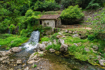 Marvelous scenery at the Grotte del Bussento WWF Oasis, near Morigerati. Cilento, Campania, Italy.