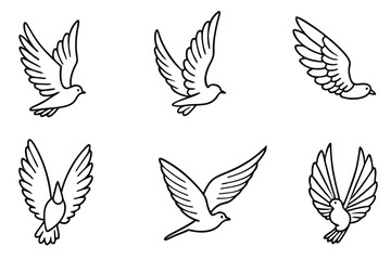 Feathered Flight line art Avian Grace in Monochrome