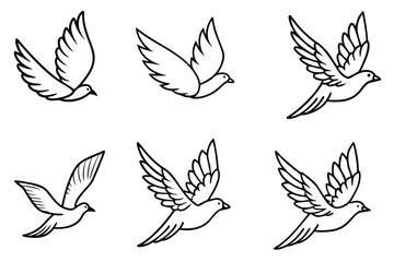 Feathered Flight line art Capturing Avian Flight in Art