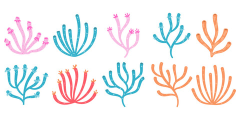 Sea Coral Reefs Illustration