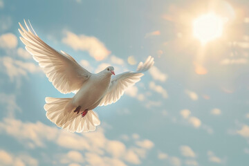 Fototapeta premium Dove of peace. A graceful white dove soars in the sunlit sky. The light flickers on the wings of a dove, emphasizing its purity and symbolism of peace.