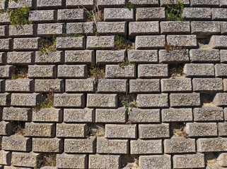 Close-up of a textured brick wall with small plants growing between the cracks