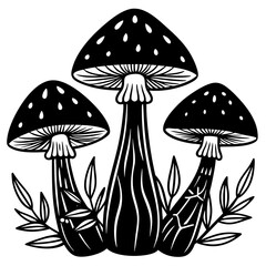 mushrooms fruiting bodies and the mycelium weave