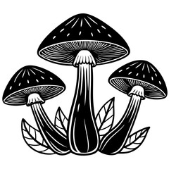 mushrooms fruiting bodies and the mycelium weave