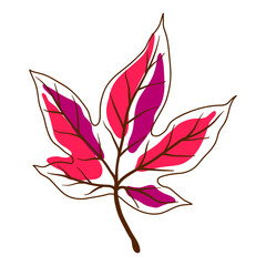 Illustration of sweet gum leaf. Decorative autumn foliage.