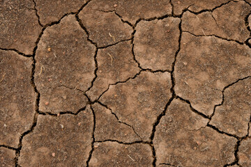 Wall texture soil dry crack pattern of drought lack of water of nature brown old broken background.