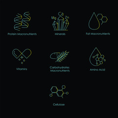 Comprehensive Nutrition Icons: Cellulose, Amino Acid, Carbohydrates Macronutrients, Vitamins, Fat Macronutrients, Minerals, Protein Macronutrients with editable stroke.