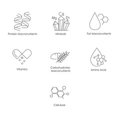 Essential Nutrients Icons Set: Cellulose, Amino Acid, Carbohydrates Macronutrients, Vitamins, Fat Macronutrients, Minerals, Protein Macronutrients with editable stroke.