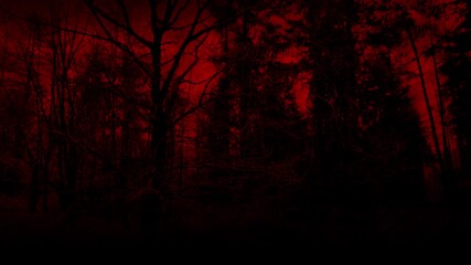 Walking In Creepy Red Forest With Dark Trees

