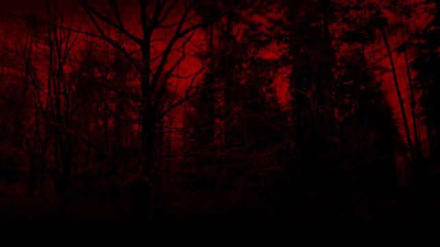 Walking In Creepy Red Forest With Dark Trees
