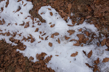 Autumn and winter have met