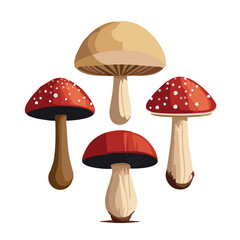 Illustration of Diverse Mushroom Species