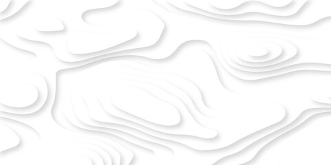 Abstract vector illustration 3d papercut wave line pattern background. white and gray luxury grid topography map and satin smooth wallpaper matt paper light texture.	
