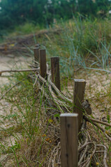 Fototapeta premium Here is a sandy beach dune, with a wooden fence along to grass. High quality photo