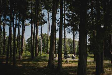 Golf Cart in Woods at Course