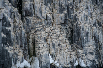 Fototapeta premium Arctic. landscape
