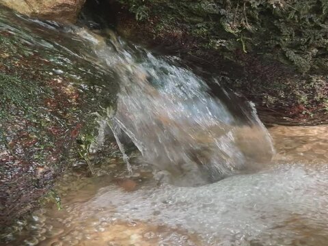 Bachlauf im Wald
