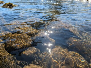 Sun sparkles in clear Icelandic stream near Akureyri