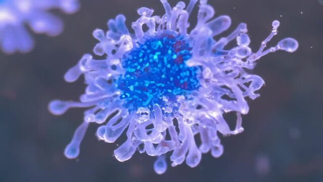 Close-up of a vibrant blue jellyfish in the ocean depths