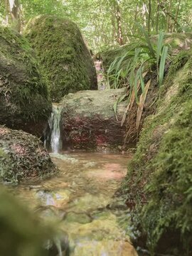 Bachlauf im Wald