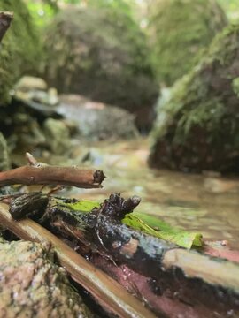 Bachlauf im Wald