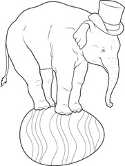 Elephant Easter Easter egg Circus Animal Vector Graphic Art Illustration