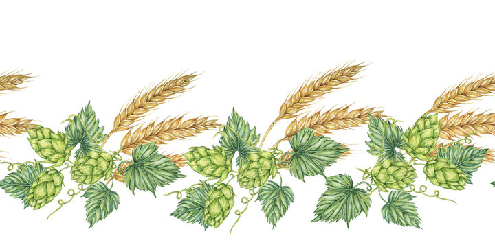 Hops and barley seamless border in watercolor. Green humulus lupulus cones and wheat ears repeating pattern banner for Oktoberfest, St Patrick's day, beer labels, traditional festival clipart
