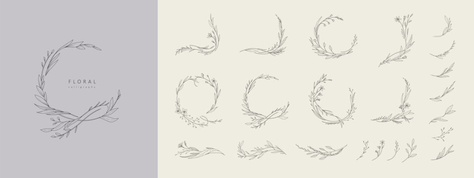 Set of elegant calligraphic botanical design elements, floral frame and graceful branches. Wedding wildflowers for invitation save the date card. Botanical feminine rustic vector illustration