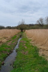 Obraz premium Schöne ländlichen Umgebung mit blauem Himmel