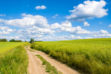 Warmińskie pola 2024 © Krzysiek Cegiełka