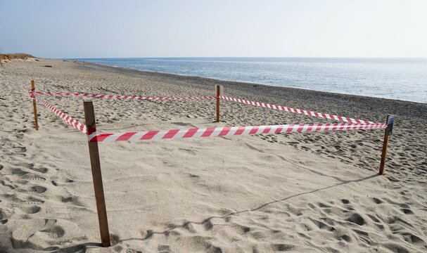 Sea turtle egg laying site. Protected green turtle nesting area on the sea beach. Sea turtle nesting season.