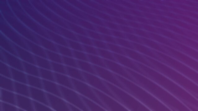 Motion Background: Warping abstract wavy lines with purple and pink gradient