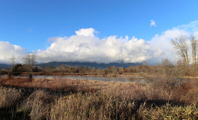 Fototapeta premium Country scenery with dry grass and cloudy skies