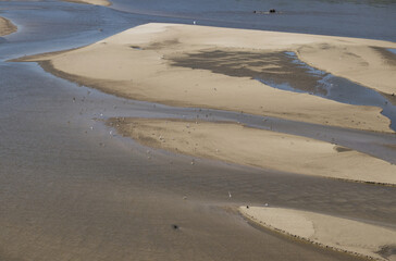 bird islands on the Vistula © Klimczak-Krajewska