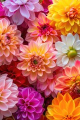 Obraz premium Close-up shot of a vibrant floral arrangement