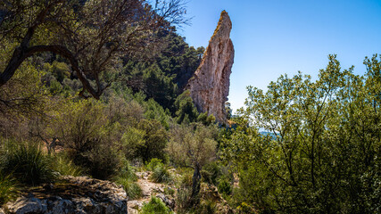 Camí de s'Illeta hiking trail meanders through lush nature on a sunny day, with monolithic Es Penyal Bernat rock and verdant olive trees, perfect for outdoor travel and nature tourism in Mallorca.
