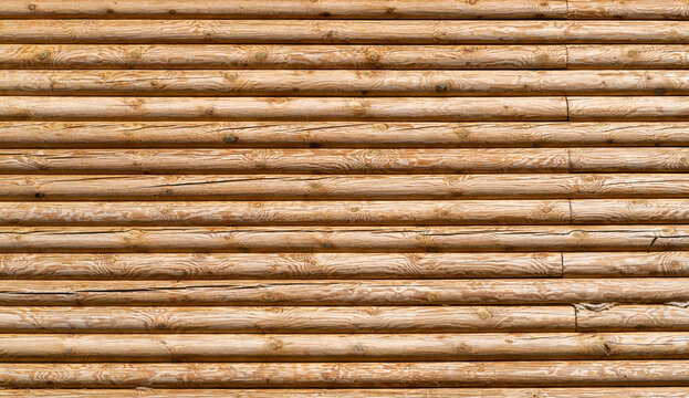 Pine log wall. The texture of the facade is made of real wooden logs. Natural wood background.