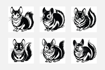 Chinchillas illustration bundle