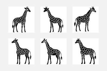 Giraffe illustration bundle