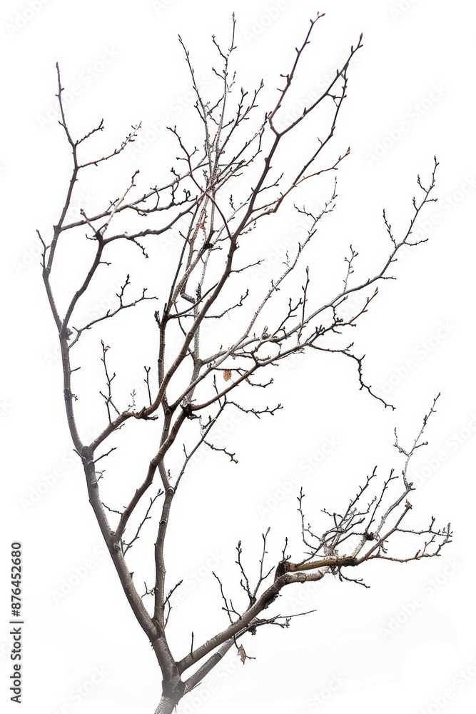 Aufkleber A tree with exposed branches and a bird resting on one of its limbs