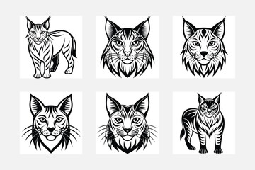 Lynx illustration bundle