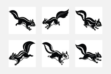 Squirrel illustration bundle