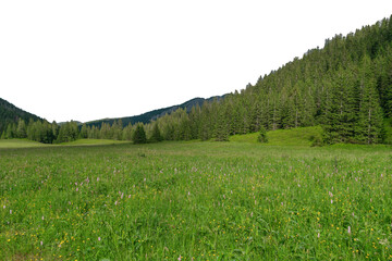 Beautiful summer landscape in a mountain valley. Isolated
