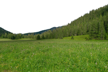 Beautiful summer landscape in a mountain valley. Isolated