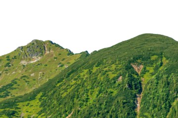 Green mountains in summer. 