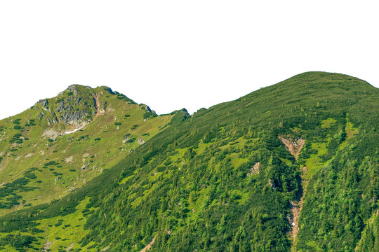 Green mountains in summer. 
