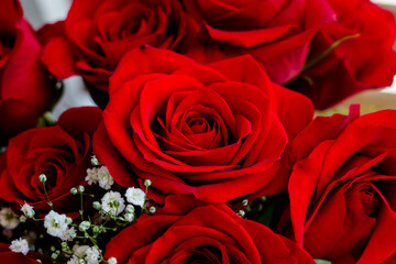 red roses bouquet close up. 