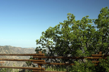 Roadside view of Black Canyon of the Gunnison National Park in Colorado