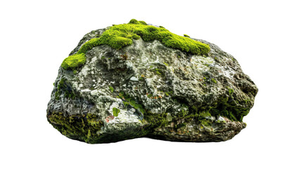 Mossy Rock Close Up White Background